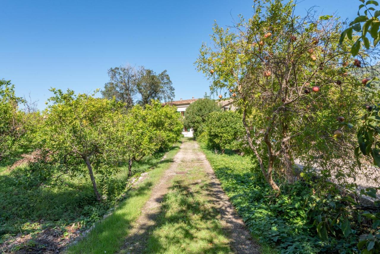 Villa Soller House Close To The Center, Large Flat Orchard And Pool. Exterior foto